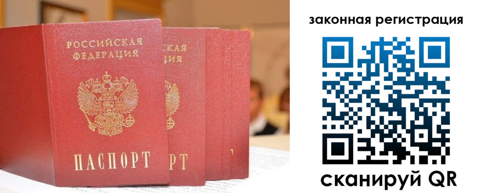 прописка поиск в Черняховске